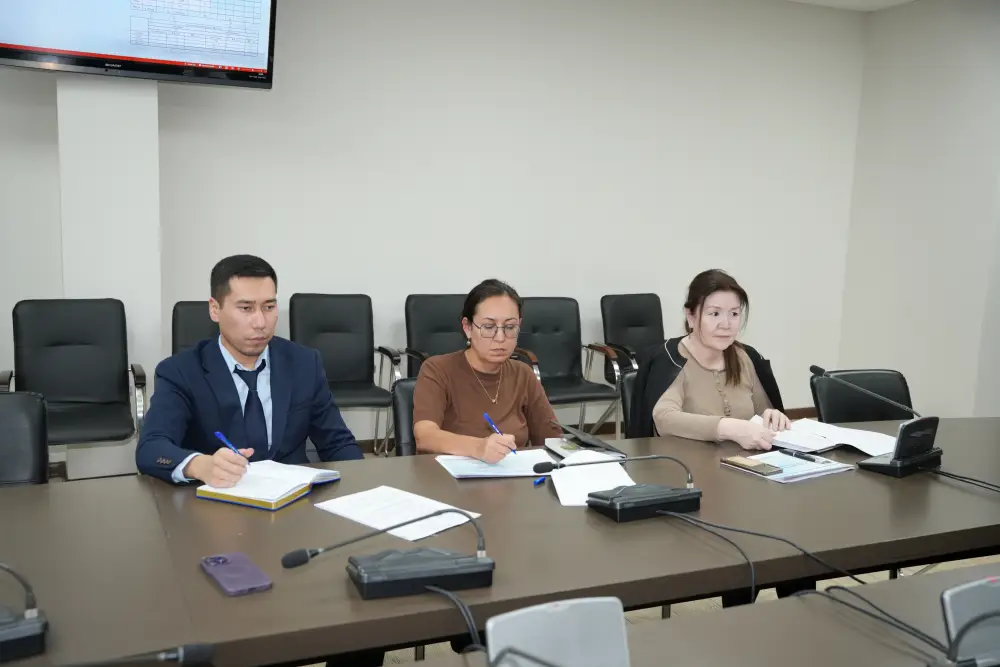 В Казахстане обновят 17 тыс. км электролиний и 444 высоковольтных подстанций (3)