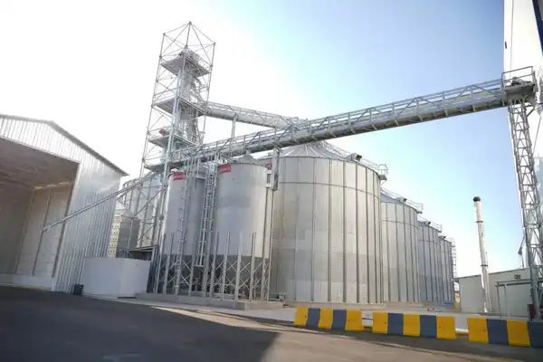 ТУРКЕСТАН: НУРАЛХАН КУШЕРОВ ВСТРЕТИЛСЯ С ПРЕДСТАВИТЕЛЕМ ОБСЕ ДЛЯ ОБСУЖДЕНИЯ ВОПРОСОВ УКРЕПЛЕНИЯ ПАРТНЕРСТВА (3)