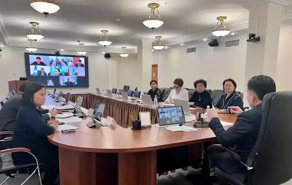 Состоялась встреча А.Ертаева с представителями ЛСИ (2)