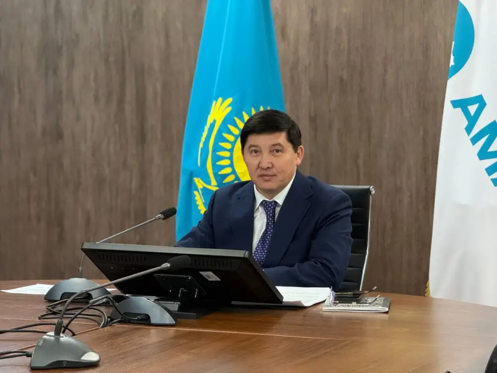 Вице-министр торговли и интеграции Айдар Абилдабеков провел прием граждан на площадке партии «AMANAT» (4)