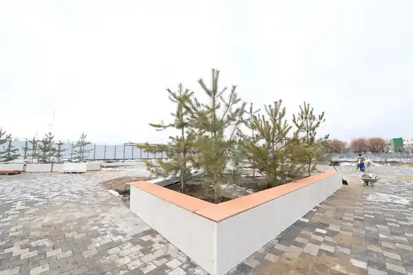 Аким области посетил Центр компетенций (10)