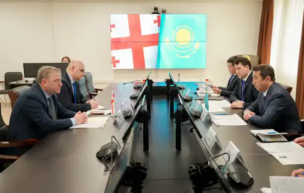 Грузия заинтересована в расширении сотрудничества с Казахстаном в сфере АПК (5)