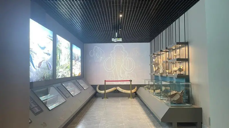 От акинака до шахтёрской вагонетки: чем удивляет обновлённый историко-краеведческий музей Караганды (10)