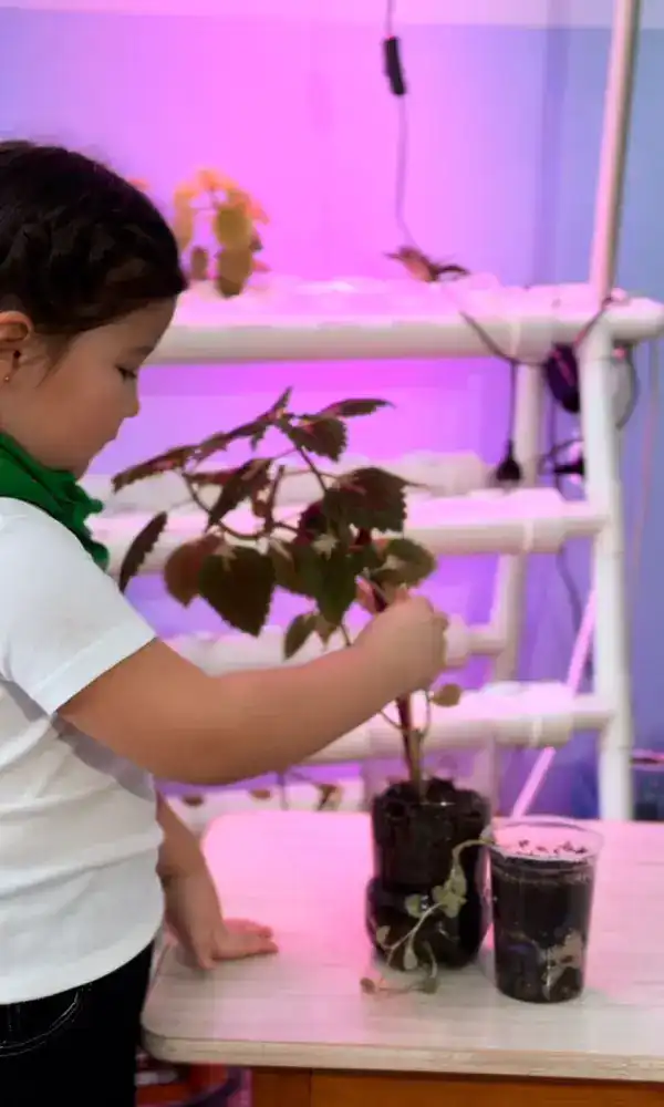 Цветы жизни: как в детском саду «Өрлеу» поддержали акцию «Таза Қазақстан» (6)