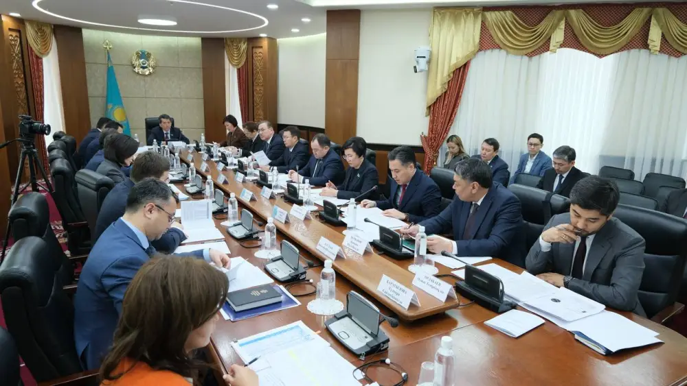 Глава Минтруда рассказал о мерах по сокращению неформальной занятости на заседании в Сенате Парламента РК (4)