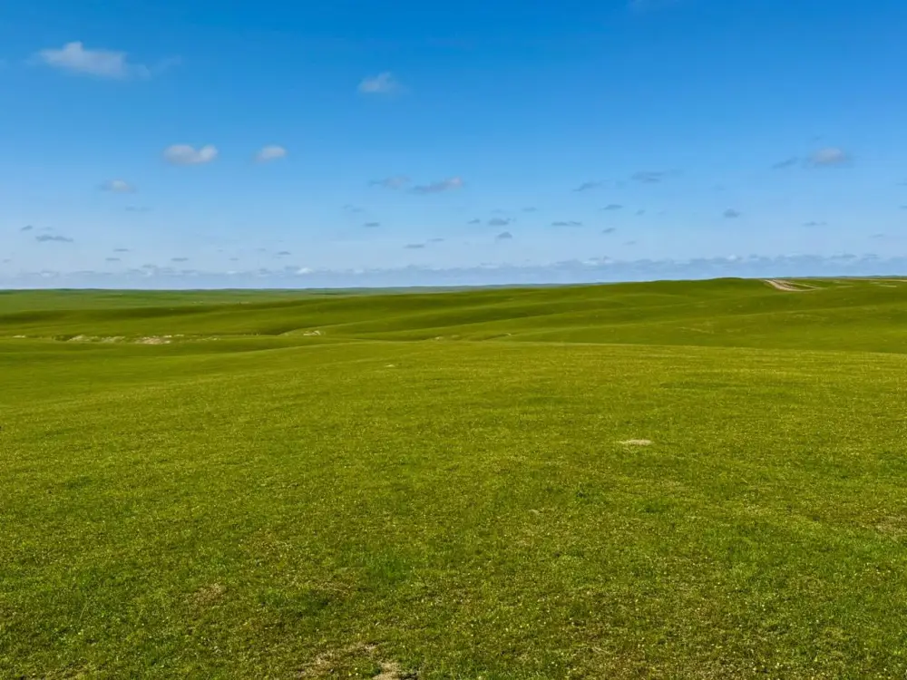 В ТУРКЕСТАНСКОЙ ОБЛАСТИ НАЧАЛАСЬ БОРЬБА С САРАНЧОЙ (2)