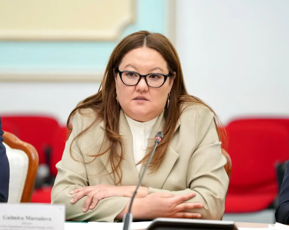 Казахстан и ЕС: Энергобезопасность, энергопереход, и транснациональные энергетические проекты (6)