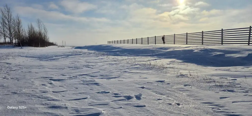 Зима без заносов: на трассе «Астана – Кокшетау» тестируют новую снегозащитную систему (5)
