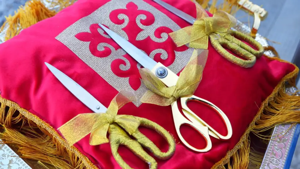 В Алматинской области открыли две врачебные амбулатории и вручили ключи от 132 новых квартир (4)