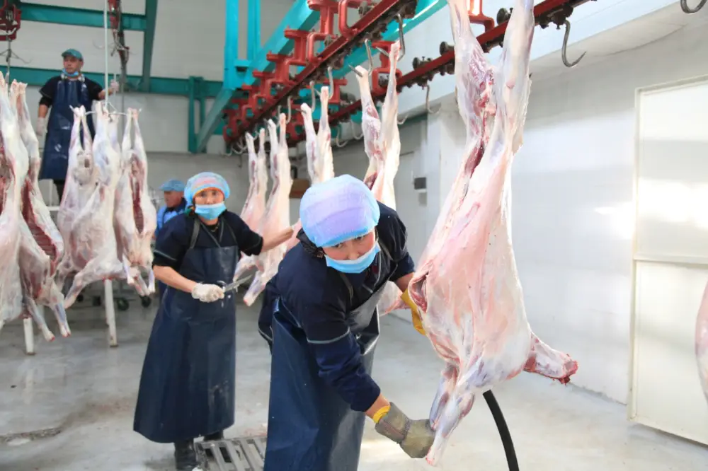 Более 2,5 тыс. человек работают в сфере переработки сельхозпродукции в Жамбылской области (4)