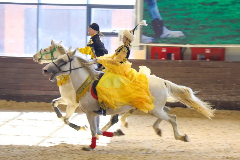 «Наурызнама-2026»: показательное выступление по национальным видам спорта состоится в Астане (4)