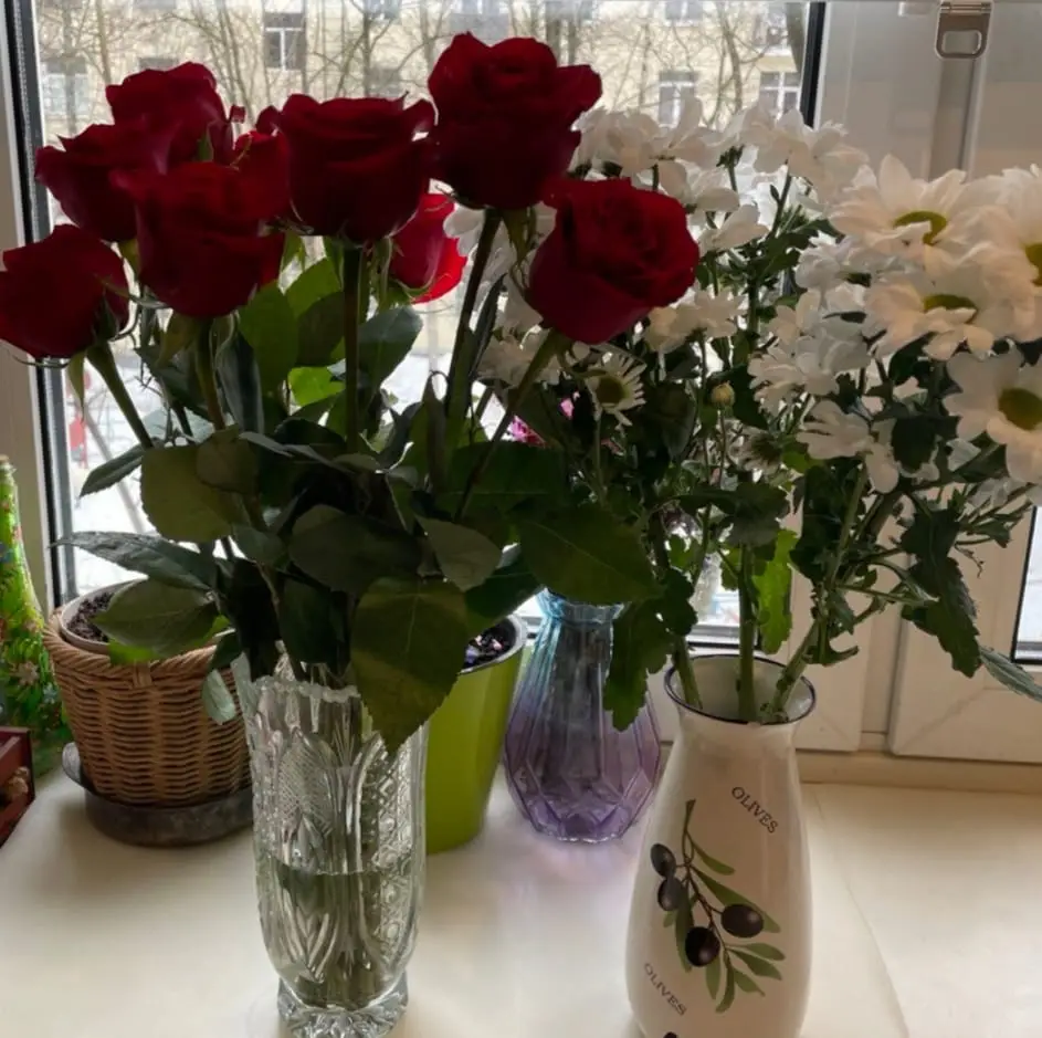 Дорогие и милые дамы! (2)