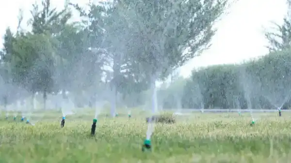 В ТУРКЕСТАНСКОЙ ОБЛАСТИ АКТИВИЗИРОВАНА РАБОТА В РАМКАХ ПРОГРАММЫ «ТАЗА КАЗАҚСТАН» (6)