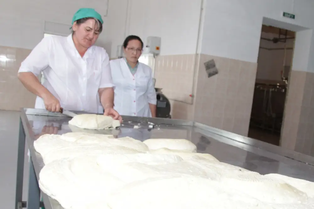 Более 2,5 тыс. человек работают в сфере переработки сельхозпродукции в Жамбылской области (8)