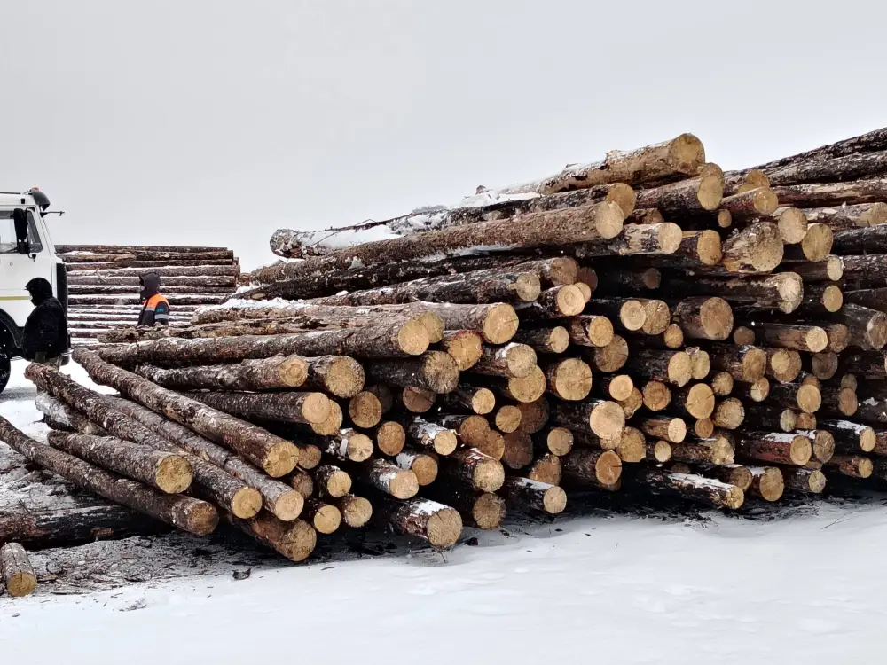 В Казахстане подведены итоги пилотного проекта по маркировке древесины (4)