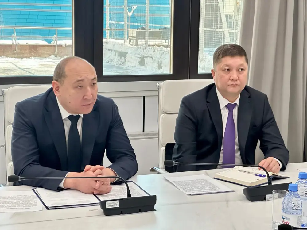 Руководитель аппарата Министерства финансов Ернар Ержанов провел прием граждан (3)