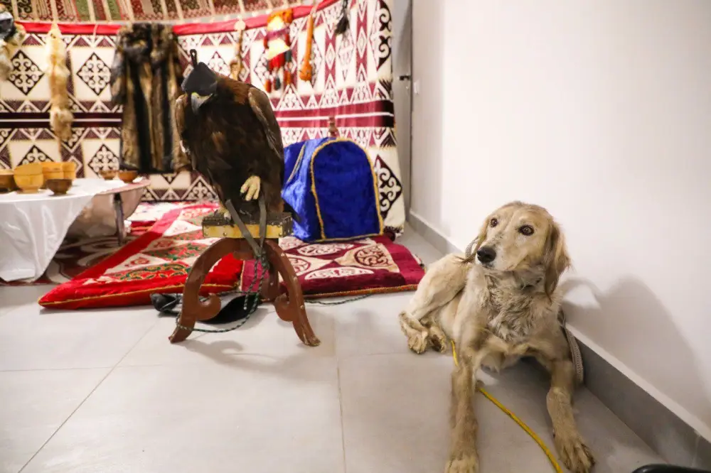 «Наурызнама-2026»: показательное выступление по национальным видам спорта состоится в Астане (8)