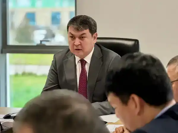 В ТУРКЕСТАНСКОЙ ОБЛАСТИ ОБСУДИЛИ КООРДИНАЦИЮ МЕР ПО БОРЬБЕ С САРАНЧОЙ (2)