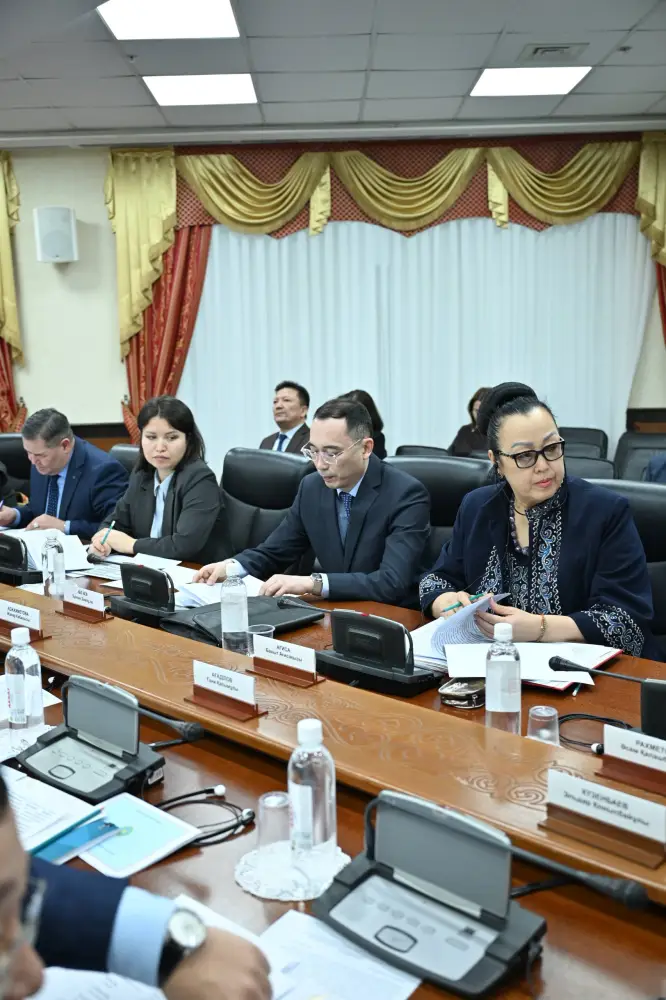 Миграционные процессы и меры их регулирования рассмотрены на круглом столе в Сенате Парламента (2)