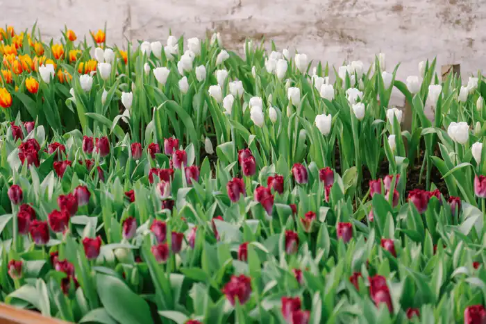 погода в марте