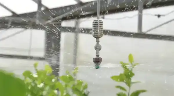 В ТУРКЕСТАНСКОЙ ОБЛАСТИ ЗА ТРИ ГОДА СОЗДАН 201 НОВЫЙ СЕЛЬСКОХОЗЯЙСТВЕННЫЙ КООПЕРАТИВ (10)