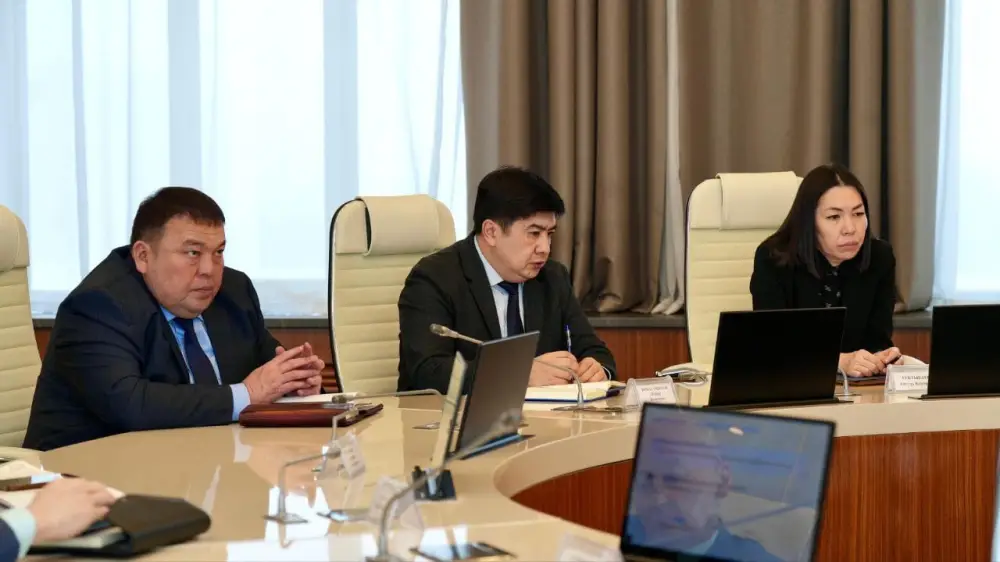 На заседании Правительства рассмотрен план мероприятий по продвижению новой Конституции (4)