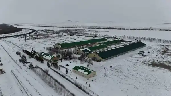 В Бурабайском районе ведется строительство крупной молочно-товарной фермы и завода по переработке молока (4)