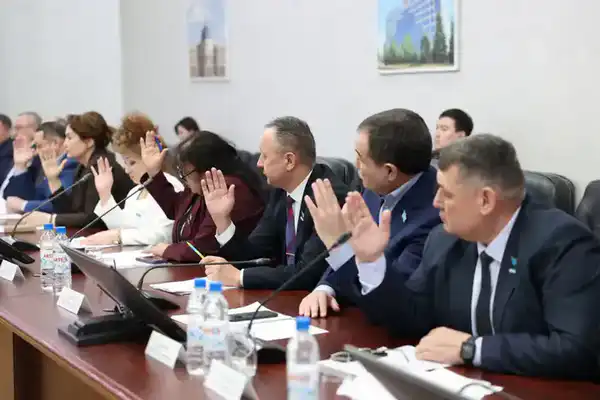 Внеочередная сессия маслихата (3)