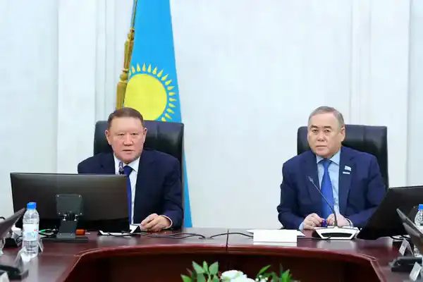 Внеочередная сессия маслихата (8)