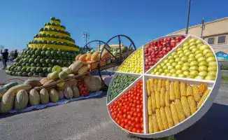 Создание 201 нового сельскохозяйственного кооператива в Туркестанской области за три года: поддержка местных жителей через проект 'Ауыл аманаты'