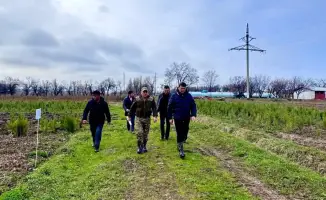 Туркестанская область высаживает более 3,7 миллиона саженцев, открывая новые горизонты для озеленения