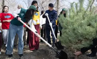 В Талдыкоргане прошел День обновления: ветераны и студенты вместе высадили тысячи деревьев