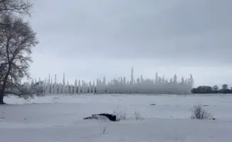 Подготовка к паводкам: регионы страны принимают меры для предотвращения последствий