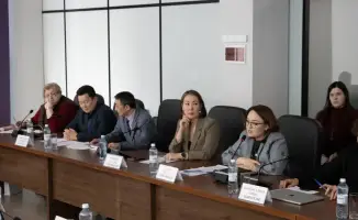 Эксперты обсудили важность Конституции для межэтнической стабильности и общественного согласия