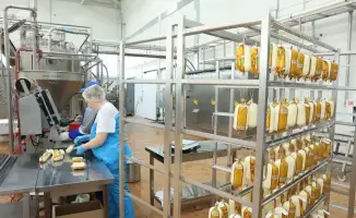 Сапаров проверил инвестиции в АПК Костаная