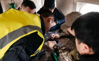 Атырау сталкивается с пыльными бурями: власти планируют озеленение для борьбы с последствиями