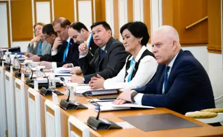 Международные наблюдатели: что узнали о новой Конституции?