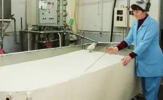 Рост переработки сельхозпродукции в Жамбылской области способствует созданию рабочих мест и укреплению продовольственной безопасности