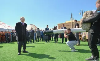 Наурыз: Глава государства на празднике, где традиции встречаются с современностью