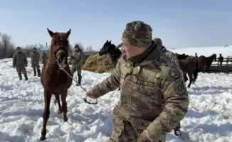 Синхронизируя шаги: как горно-егерская рота обучает всадников и лошадей в горных условиях
