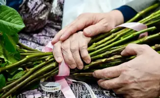 Поддержка женщин как ключ к устойчивому развитию общества: поздравление акима Восточно-Казахстанской области