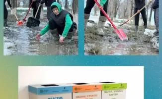 Саженцы и чистота: как растет экологическая культура?