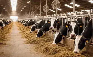 Укрепление ветеринарной инфраструктуры в ВКО: новые станции и пункты обеспечат безопасность аграрного сектора