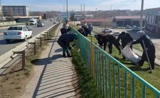 Субботник в Сарыагаше: объединение граждан для улучшения экологической ситуации