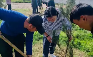 В Туркестанской области прошла акция по посадке саженцев