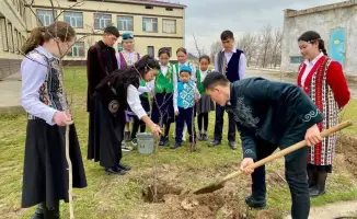 Посадка саженцев в Туркестанской области инициатива Мөлдір бұлақ