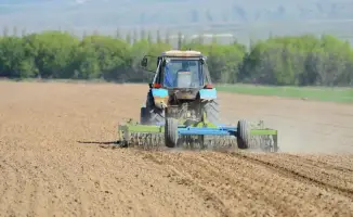 Жетісу: посевная площадь превысит 511 тысяч гектаров