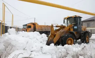 Снегопад под контролем: Акмолинская область готовится к весеннему пробуждению