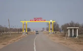 В Илийском районе высаживают более 30 тысяч саженцев деревьев вдоль дороги от села Акши