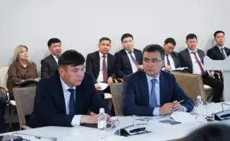 В Туркестанской области планируется массовая мобилизация людей для борьбы с саранчой